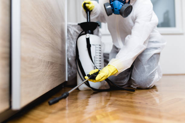 Pest Control for Restaurants in Lexington, SC