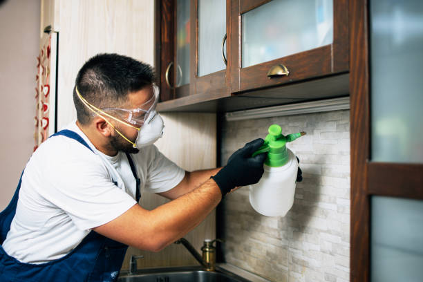 Best Cockroach Control Services  in Lexington, SC