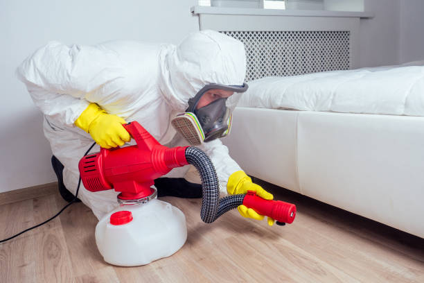 Best Affordable Pest Control Services  in Lexington, SC