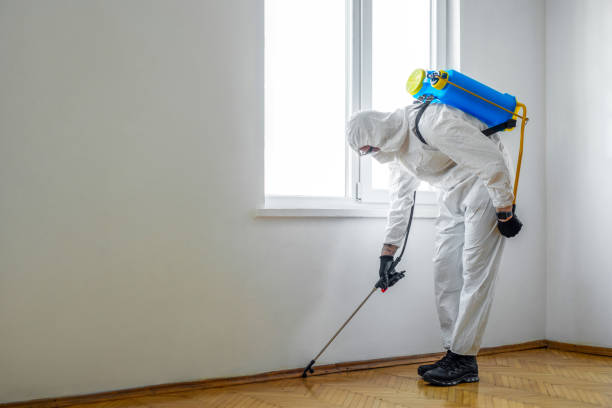 Best Mosquito Control Services  in Lexington, SC
