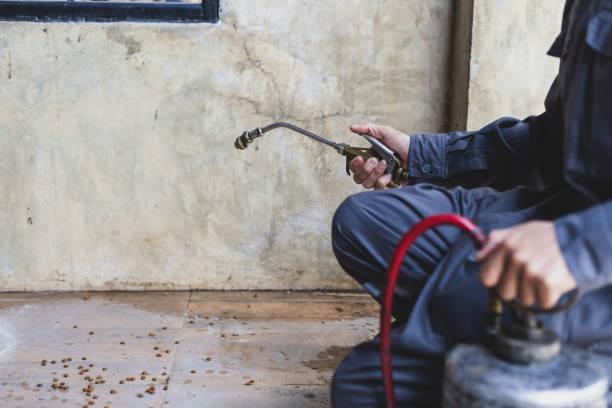 Best Best Pest Control Companies  in Lexington, SC
