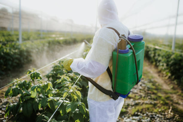 Best Rat Extermination Near Me  in Lexington, SC